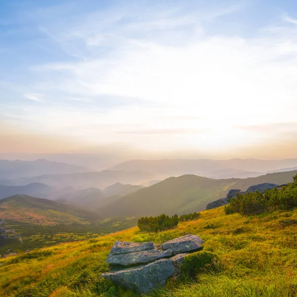 Misty mountain valley at the sunrise — Stock Photo, Image