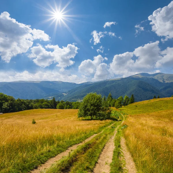 Sommer-Almfelder Szene unter glitzernder Sonne — Stockfoto