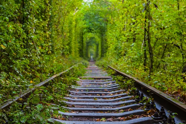 Ukraine, tunnel des amoureux, chemin de fer dans une forêt — Photo