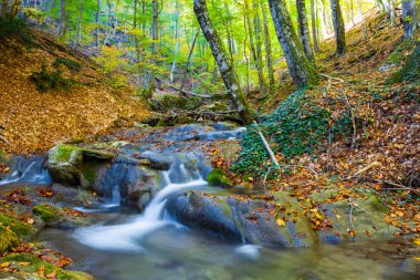 Dağ kanyonunda küçük bir nehir