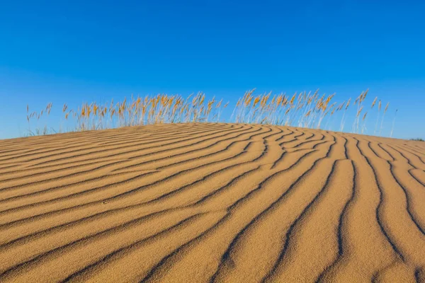 Sandy hummock on a blue sky background — Stock Photo, Image