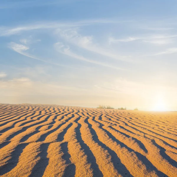 夕日にホットの砂砂漠 — ストック写真