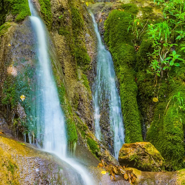 Zbliżenie małe mountain brook pędzi na kamienie — Zdjęcie stockowe