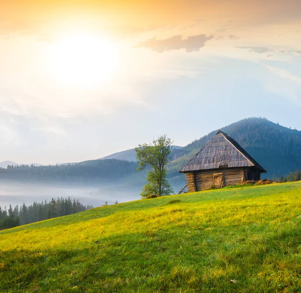 Pequena casa de madeira em uma encosta de colina verde — Fotografia de Stock