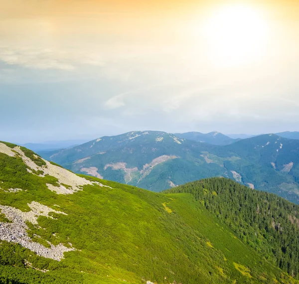 Grünes Gebirgstal bei Sonnenuntergang — Stockfoto