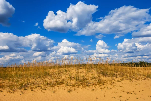 Krajobraz lato piaszczystej prairie — Zdjęcie stockowe