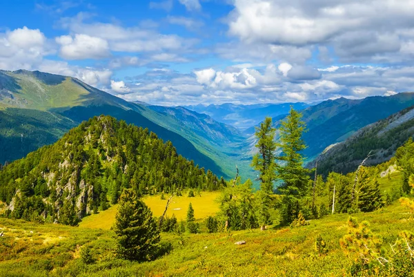 Зеленый летний пейзаж горной долины — стоковое фото