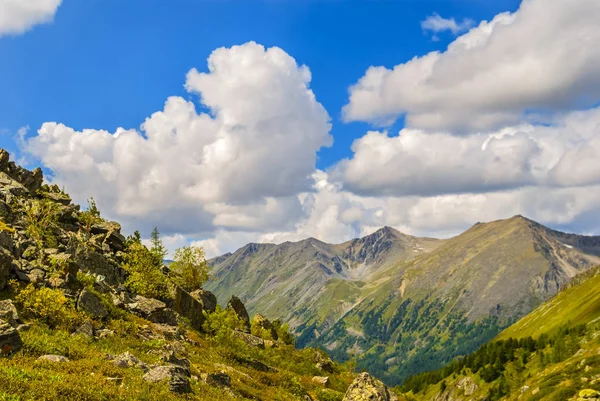 Yeşil Yaz dağ Vadisi — Stok fotoğraf