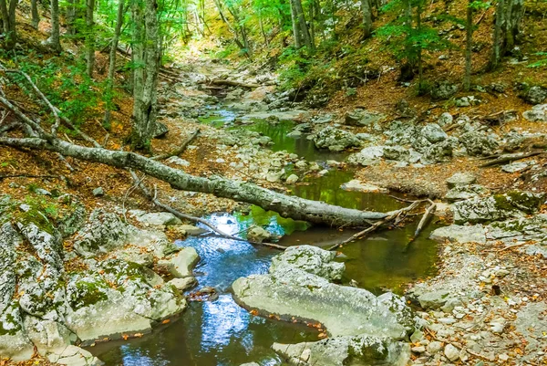 Pequeño río de montaña en un cañón — Foto de Stock