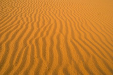 Kırmızı kum çöl arka plan