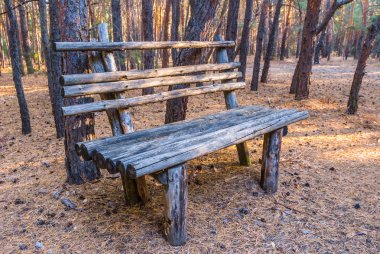 ahşap bir orman benchin