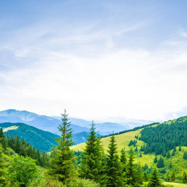 yaz yeşil dağ Vadisi manzara