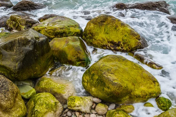 Πέτρες σε μια ακτή της θάλασσας — Φωτογραφία Αρχείου