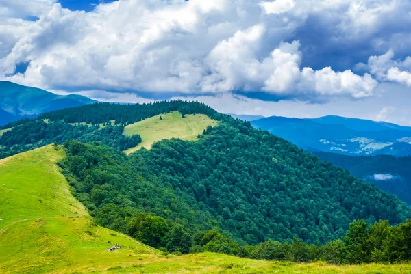 绿色的夏天山景谷 — 图库照片