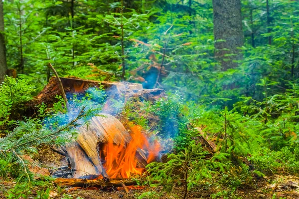 森林観光キャンプでキャンプの火 — ストック写真
