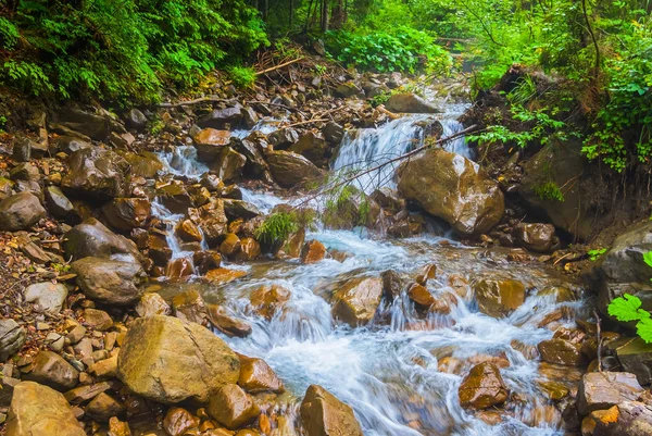 Маленька гірська річка, що поспішає серед каменів — стокове фото