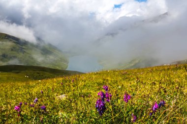 Yeşil dağ alanları yoğun bulutlar