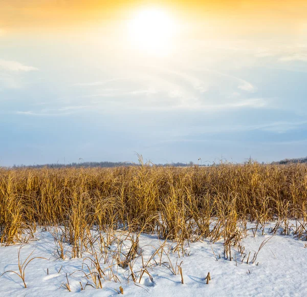 Prairie enneigée d'hiver au coucher du soleil — Photo