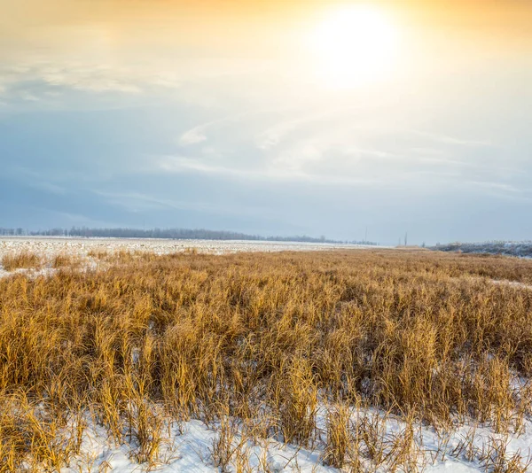 Prairie enneigée d'hiver au coucher du soleil — Photo