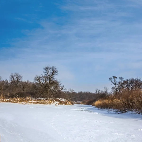 Заморожена зимова панорама озера — стокове фото