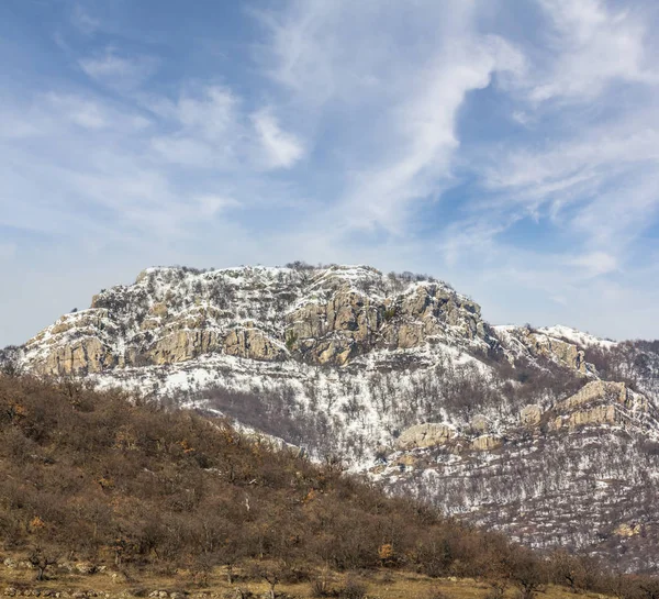 Monte la cima en una nieve sobre un bosque — Foto de Stock