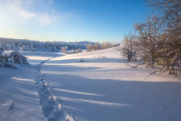 早朝の冬積雪平原 — ストック写真