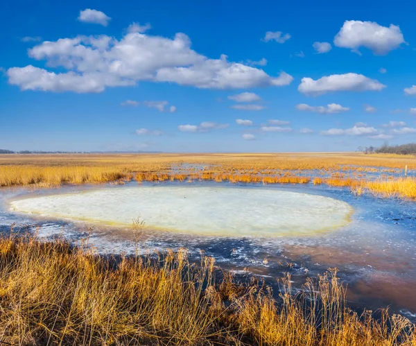 Piccolo lago sciolto primavera — Foto Stock
