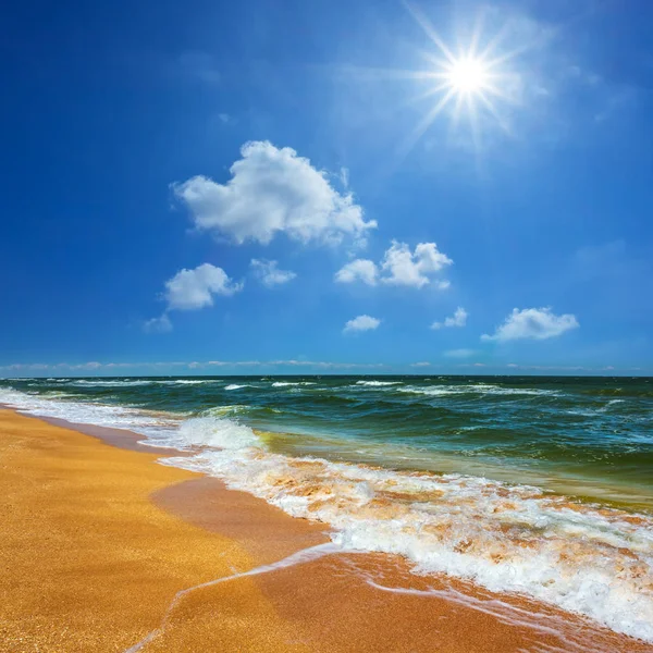 Hot sandy sea beach landscape at the sunny day — Stock Photo, Image