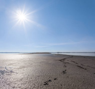 bir ışıltı güneş altında ıslak pis bataklık