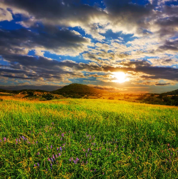 Green prairie under a dense clouds at the dramatic sunset — Stock Photo, Image