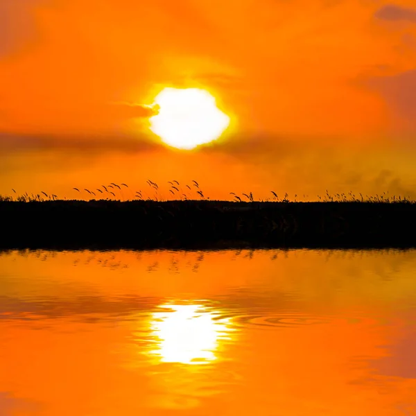 水溜りに映った劇的な夕日 — ストック写真