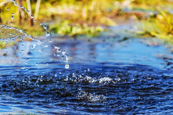 Closeup water drops fallin into a pond — Stock Photo, Image