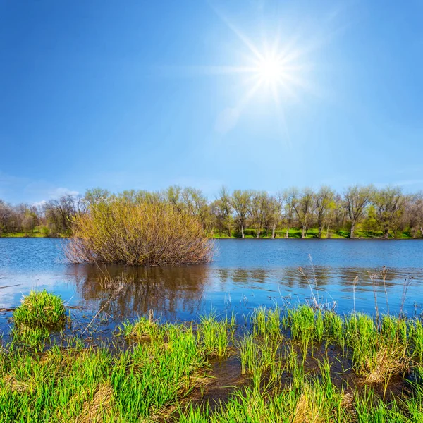 Luminosa costa del fiume di primavera nel giorno luminoso — Foto Stock