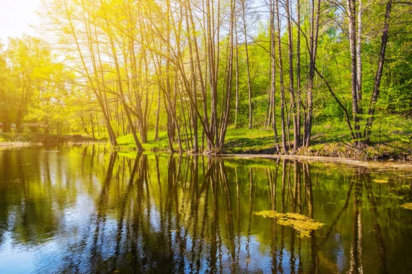 güzel sessiz yaz göl sahne