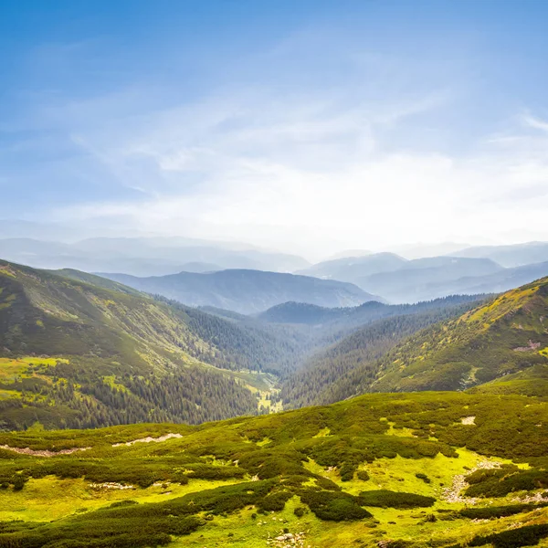 Schöne sommergrüne Bergtalszene — Stockfoto