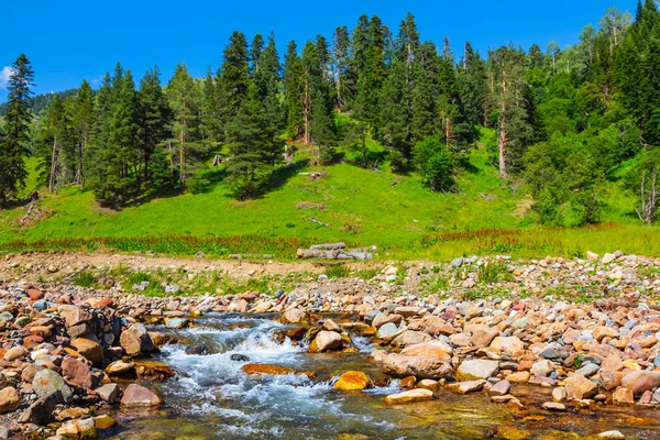 Scorrendo veloce paesaggio fluviale di montagna — Foto Stock