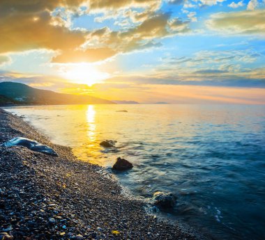 sessiz deniz şafak defne