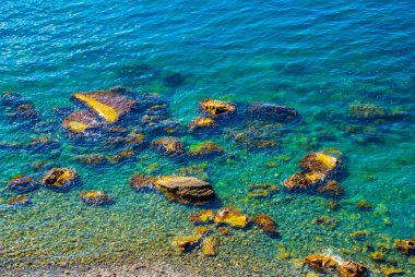 portre yaz zümrüt deniz Körfezi