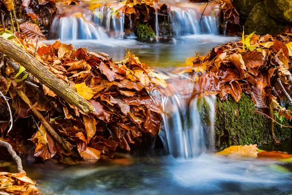 Closeup rushing small brook — Stock Photo, Image