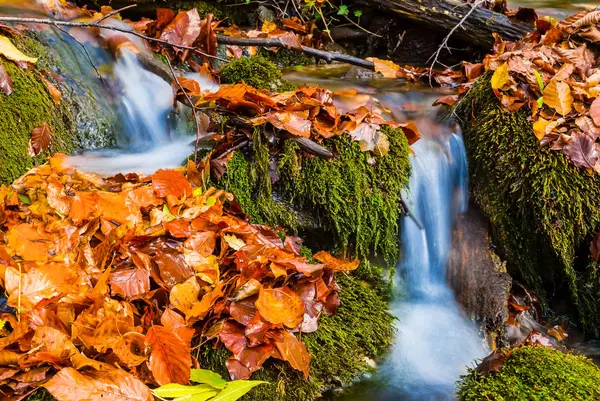 Primer plano casade pequeño río de montaña —  Fotos de Stock