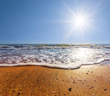 kumlu deniz plaj sıcak yaz sahne