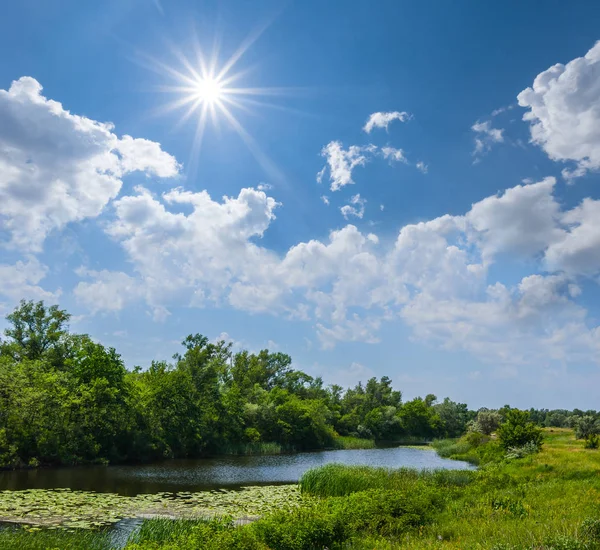 Pequeno rio de verão tranquilo abaixo de um sol brilhante — Fotografia de Stock