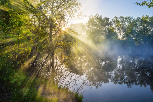 Tiché letní řeka v mlze — Stock fotografie