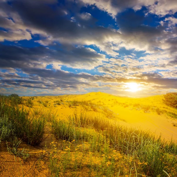 Sandwüste beim dramatischen Sonnenuntergang — Stockfoto