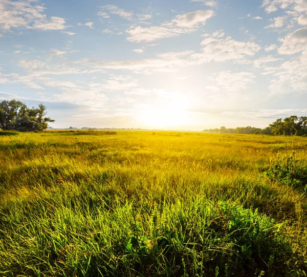 Sommerliche Landschaften am Abend — Stockfoto