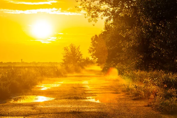 Akşam peyzaj, yol bir yağmur sonra — Stok fotoğraf