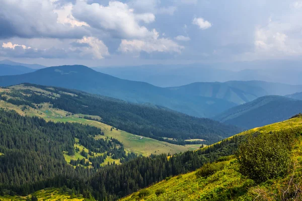 Groene berglandschap van de Karpaten — Stockfoto