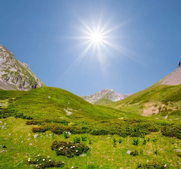 Vale de montanha verde sob um sol brilhante — Fotografia de Stock