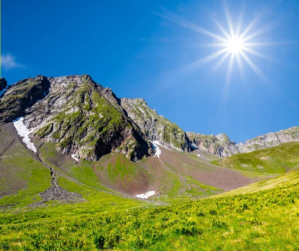 Літня зелена гірська долина — стокове фото