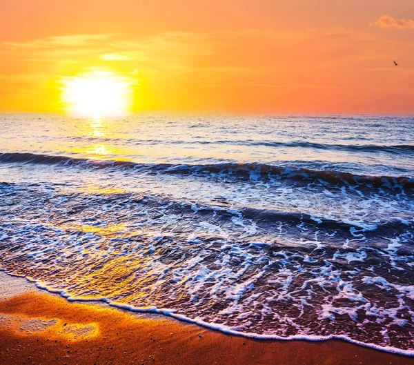 Rustige zee strand in de avond — Stockfoto